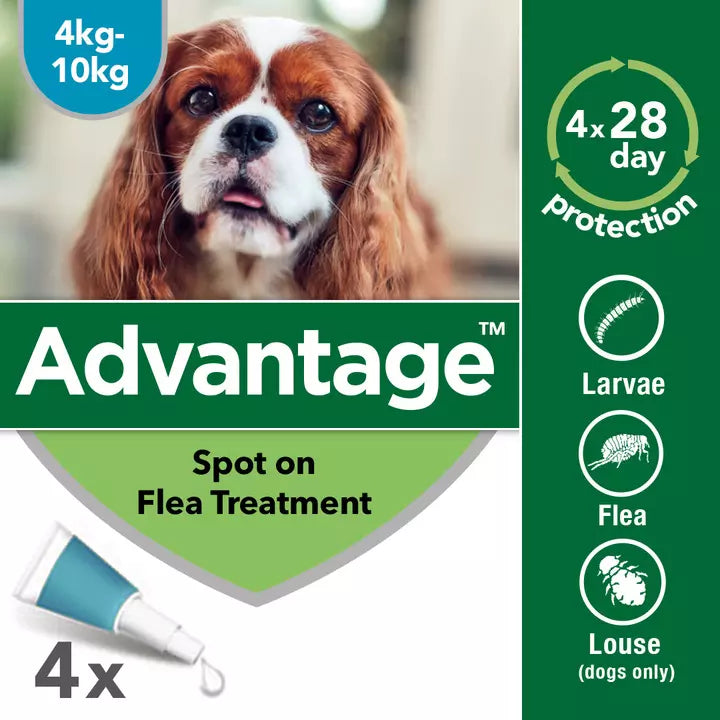 Advantage 100 Flea Treatment for Dogs 4 Pipettes