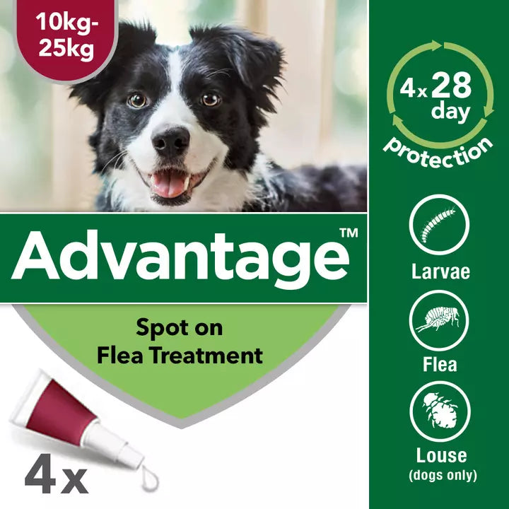 Advantage 250 Flea Treatment for Dogs 4 Pipettes
