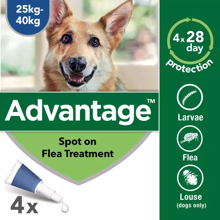 Advantage 400 Flea Treatment for Dogs 4 Pipettes