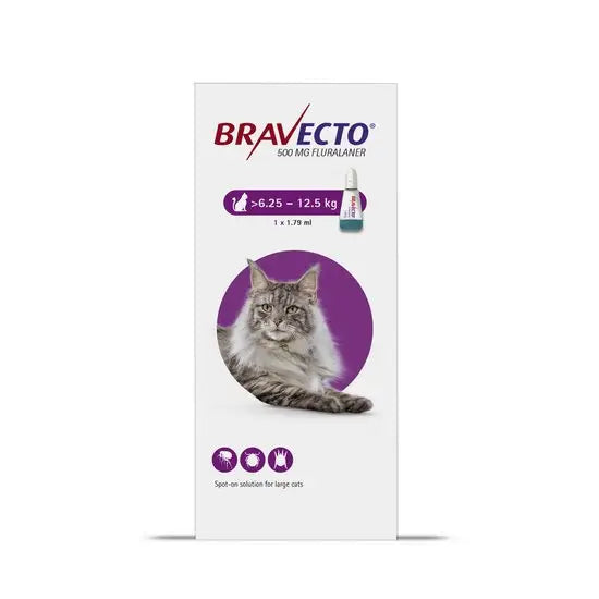 Bravecto® Spot-On Solution for Large Cats (500mg) 1Dose