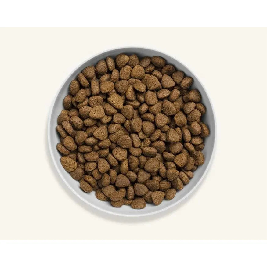 Canagan Scottish Salmon Grain Free Dog Food Kibble