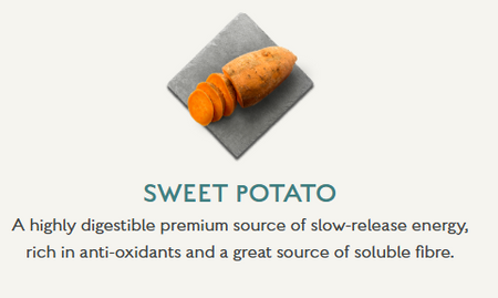 Canagan Small Breed Light Senior Dog Food Ingredient Sweet Potato