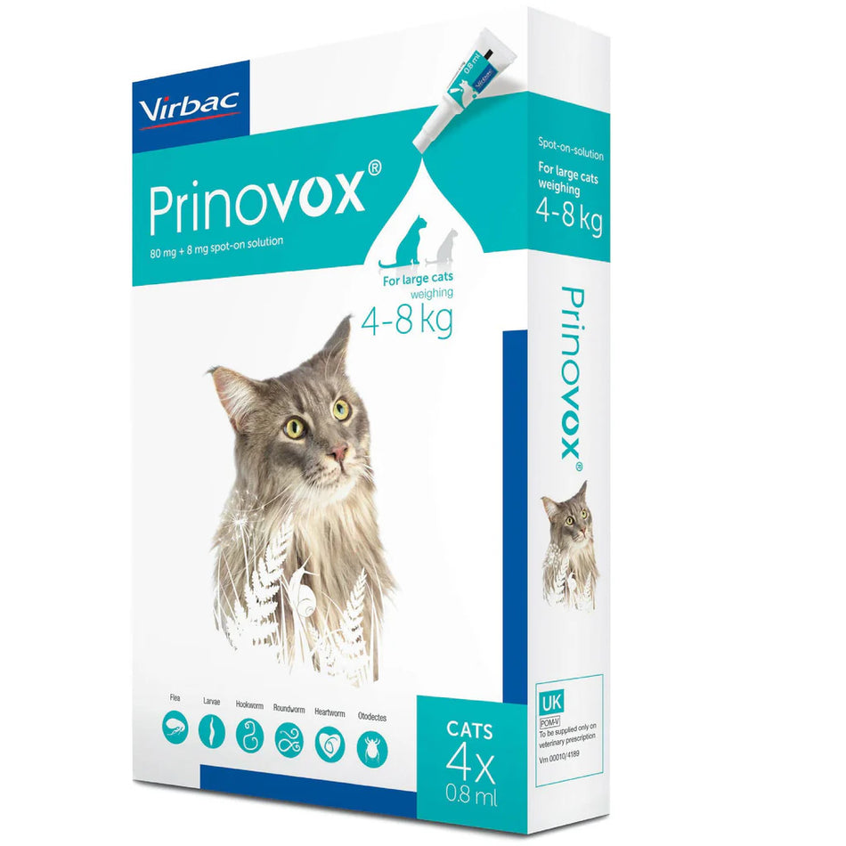 Prinovox® Spot-On Solution for Large Cats 80mg/8mg (4–8kg) 4Packs