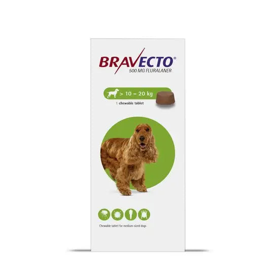 Bravecto® Chewable Tablets for Medium Dogs (500mg) 1D packaging showing dosage for 10–20kg dogs with image of a brown spaniel. Antiparasitic pet medicine.
