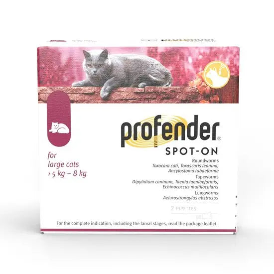 Profender® Spot-On Solution for Large Cats (5kg-8kg)