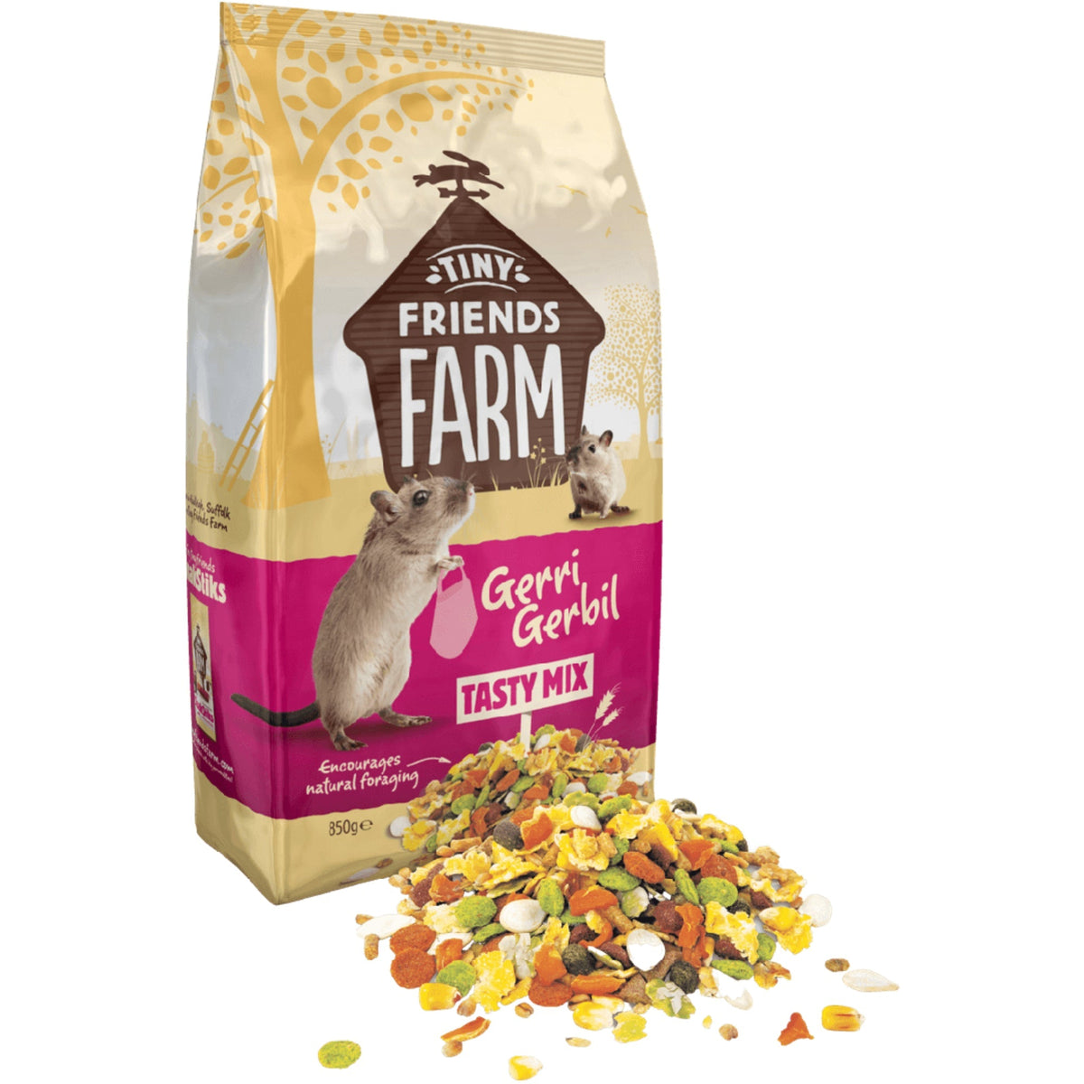 Gerri Reeves Gerri Gerbil Tasty Mix 850g – A Coombs Pet Centre