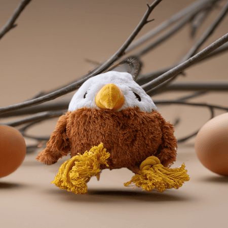 Cuddle & Play Golden Eagle Dog Toy from Great & Small shown in a natural setting with eggs and twigs, ideal for tugging and soft play.