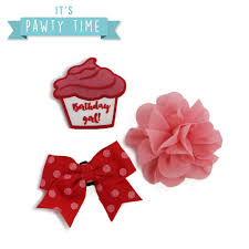 Ancol Pawty Its My Birthday Accessories