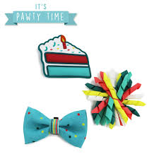 Ancol Pawty Its My Birthday Accessories