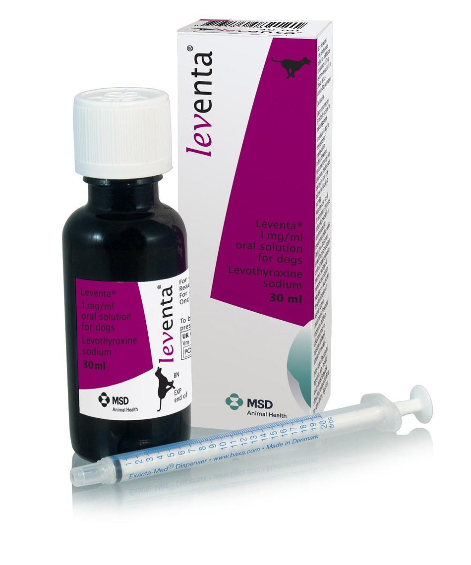 Leventa® 1 mg/ml Oral Solution 30ml bottle with box and dosing syringe for dogs. Buy Msd Leventa 30Ml pet thyroid medicine online.