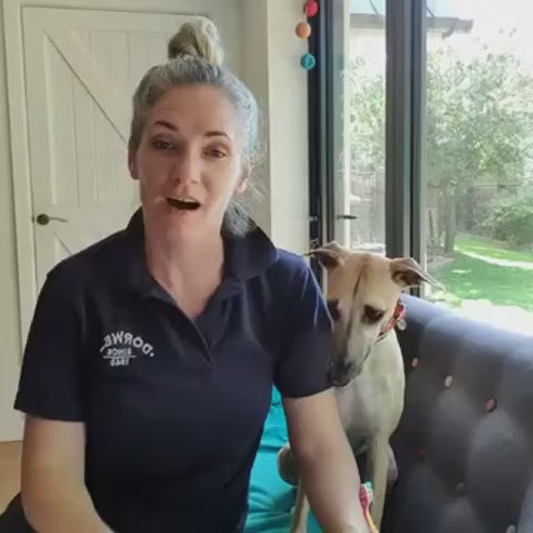 A video showing how to clean your dog or cats teeth with Dorwest roast dinner toothpaste.