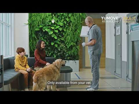 Play video about giving YuMOVE Advance 360 Max Strength dog joint chews