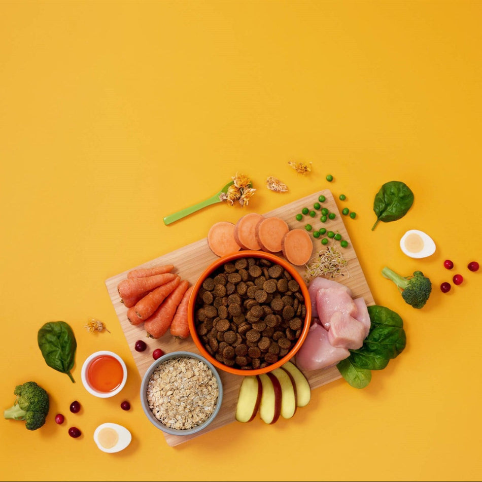 Symply Chicken Large Breed kibble in a bowl, surrounded by fresh ingredients including raw chicken, sweet potato, oats, and carrots.