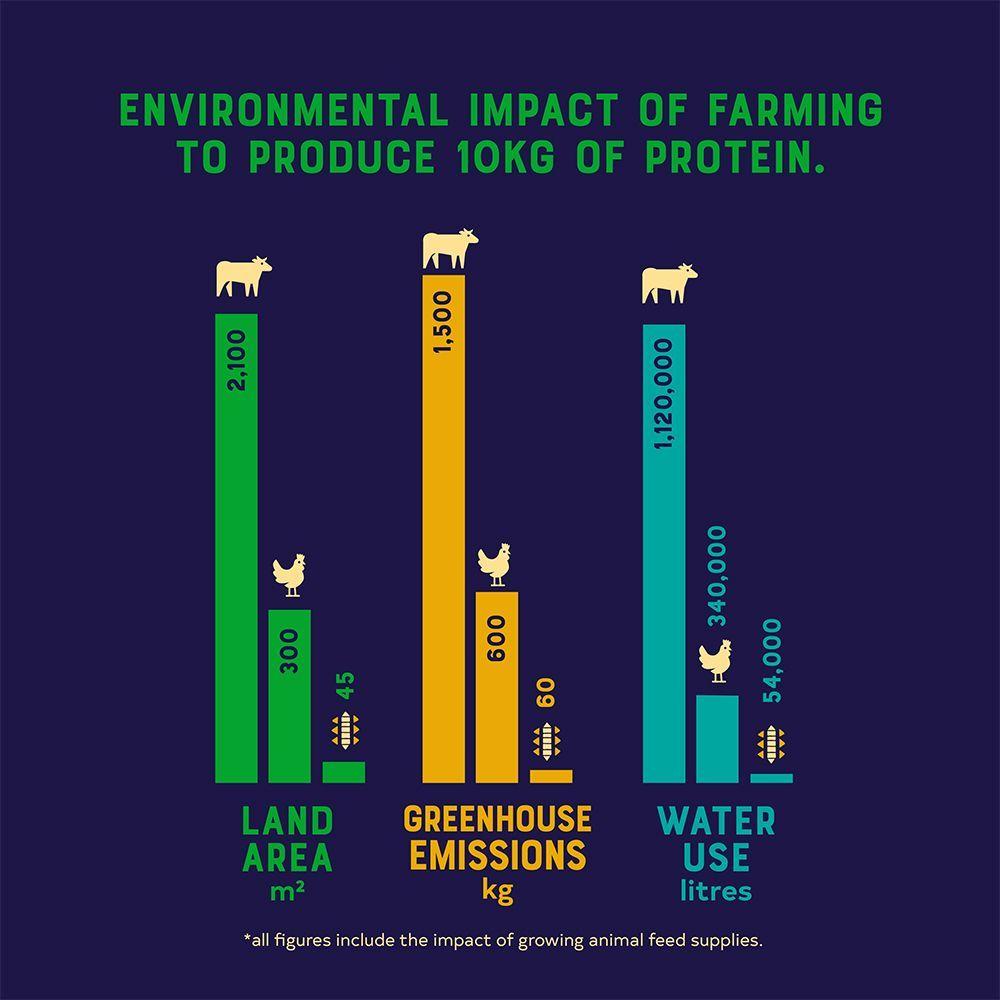 Yora Insect Protein Adult Small Breed Dog Food