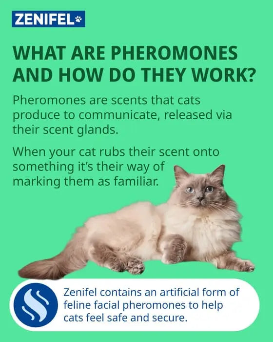 ZENIFEL Calming Gel Diffuser for Cats