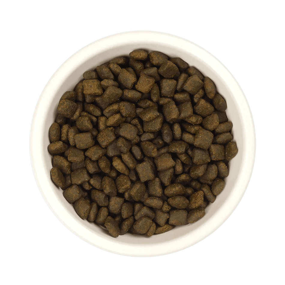 AATU 85/15 Salmon Dry Puppy Food - Walkies Pet Shop
