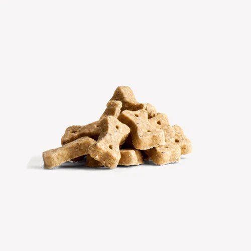Beco Insect with Apple & Chia Seeds Dog Treats
