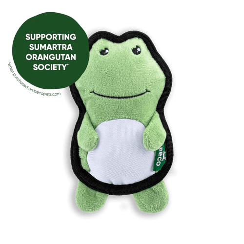 Beco Rough & Tough Recycled Frog Dog Toy