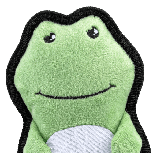 Beco Rough & Tough Recycled Frog Dog Toy