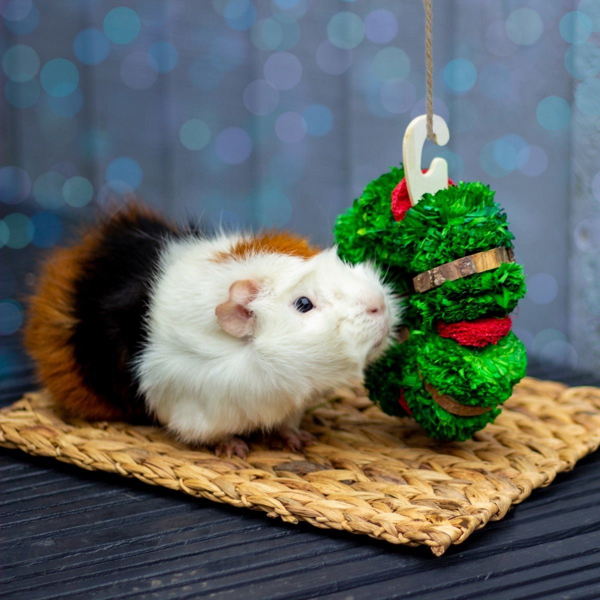 Cupid & Comet Christmas Wreath For Small Animals 