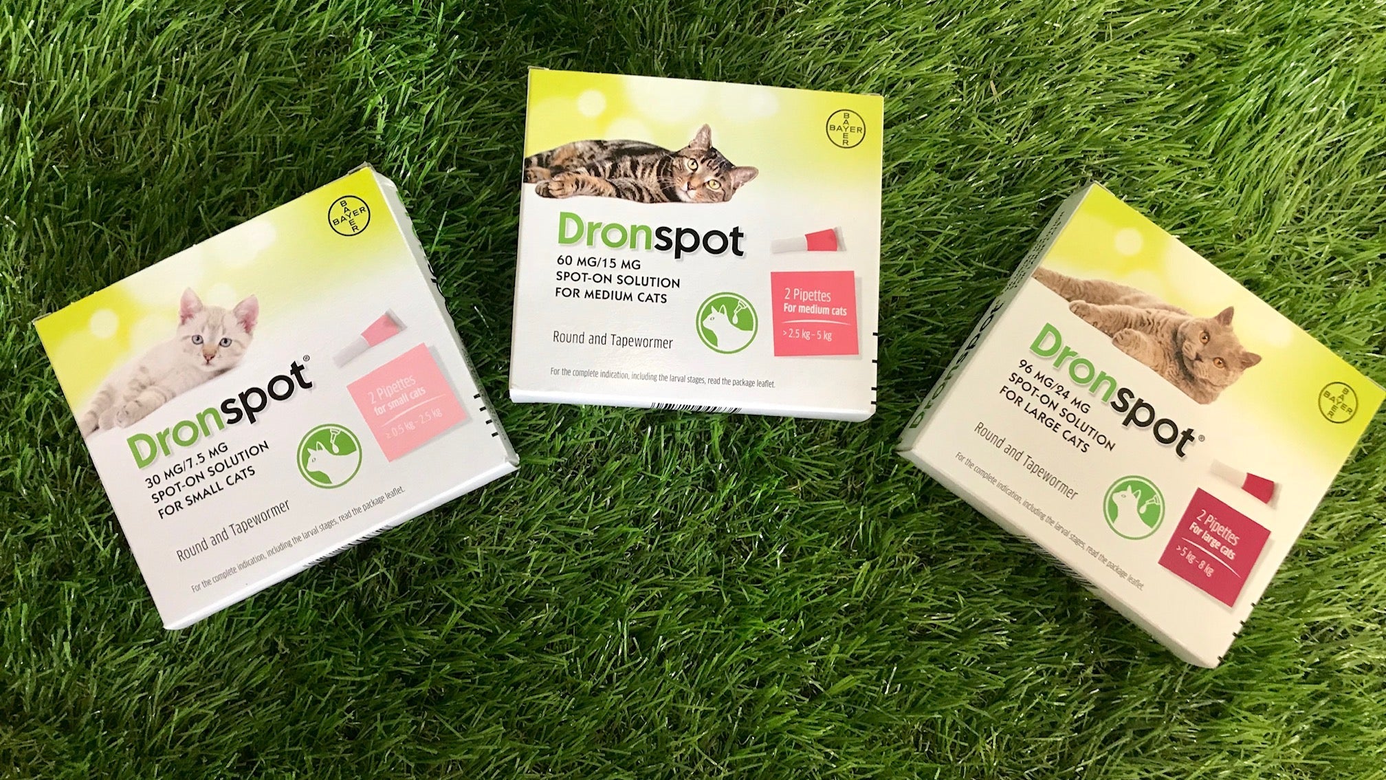 Dronspot Spot on Dewormer for Cats