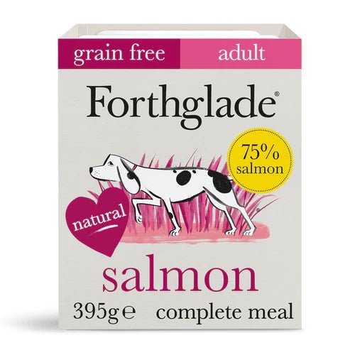 Forthglade Salmon with Potato Wet Dog Food 395g