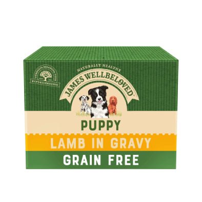 James Wellbeloved Grain Free Puppy Lamb Pouch 100g