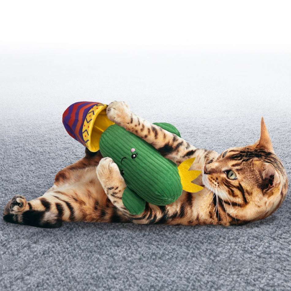 Kong Wrangler Cactus Catnip Cat Toy