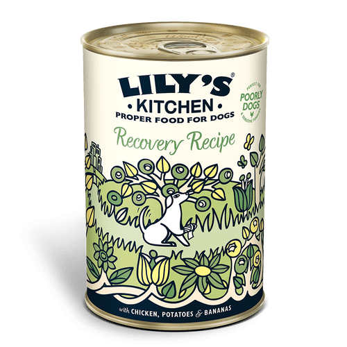 Lilys Kitchen Recovery Recipe Dog Food Tin 400g
