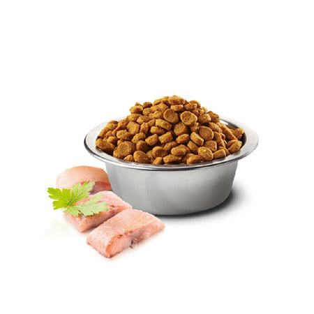 N&D Ocean Herring & Orange Dry Cat Food