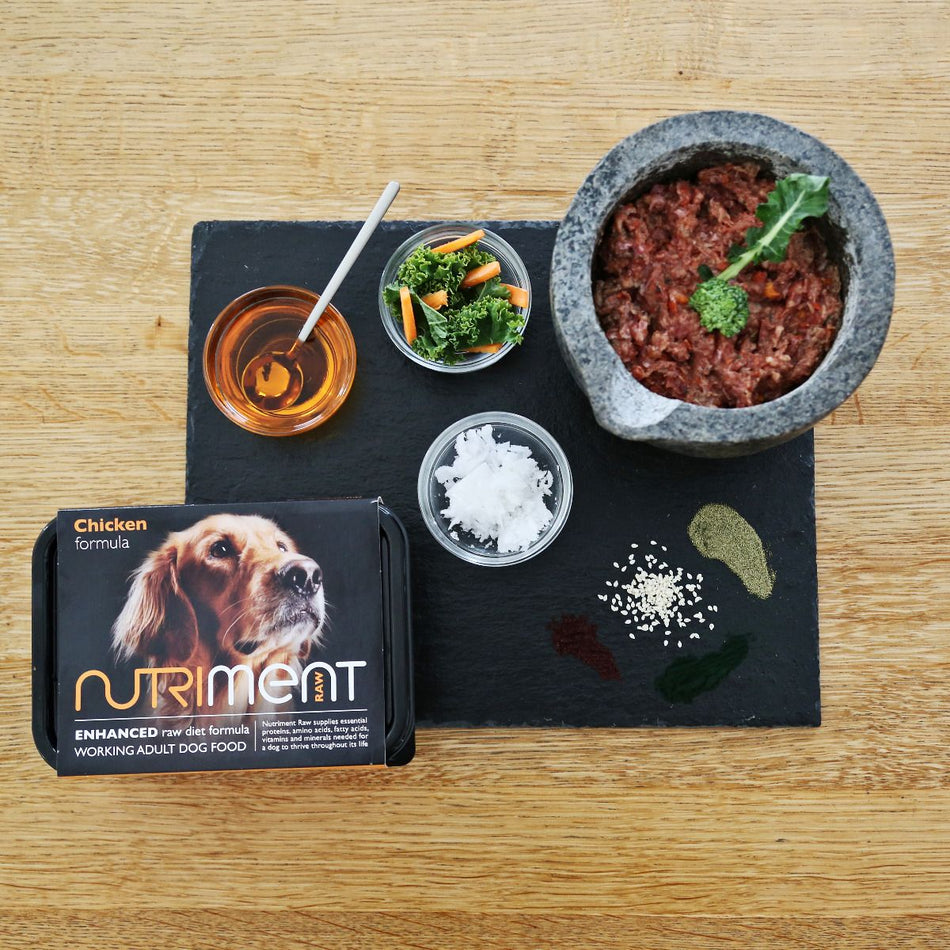 Nutriment Chicken Dog Food