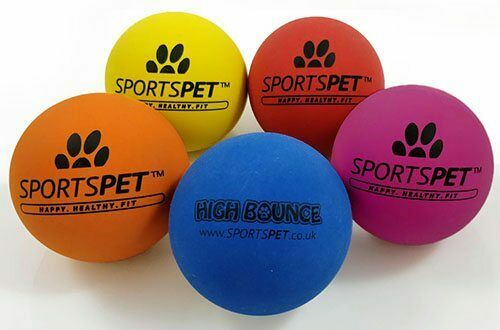 SportsPet High Bounce Dog Ball