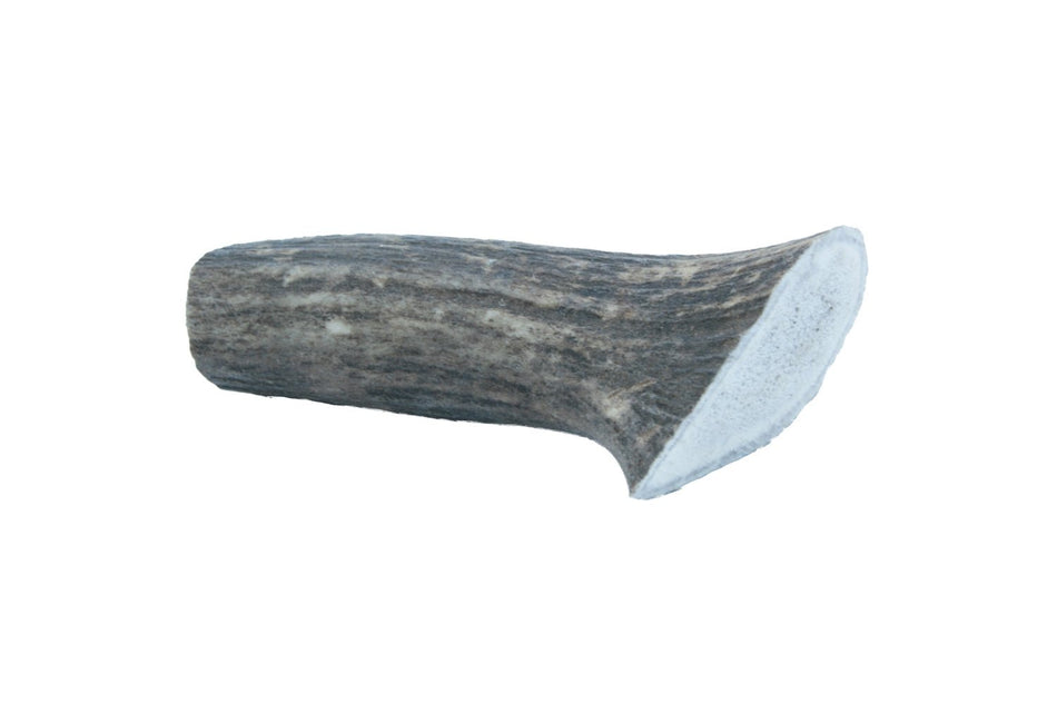 The Wild Antler Co. Whole Antler Dog Chew