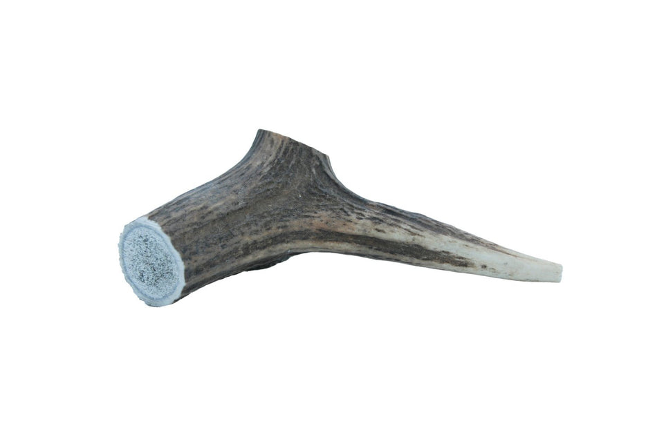 The Wild Antler Co. Whole Antler Dog Chew
