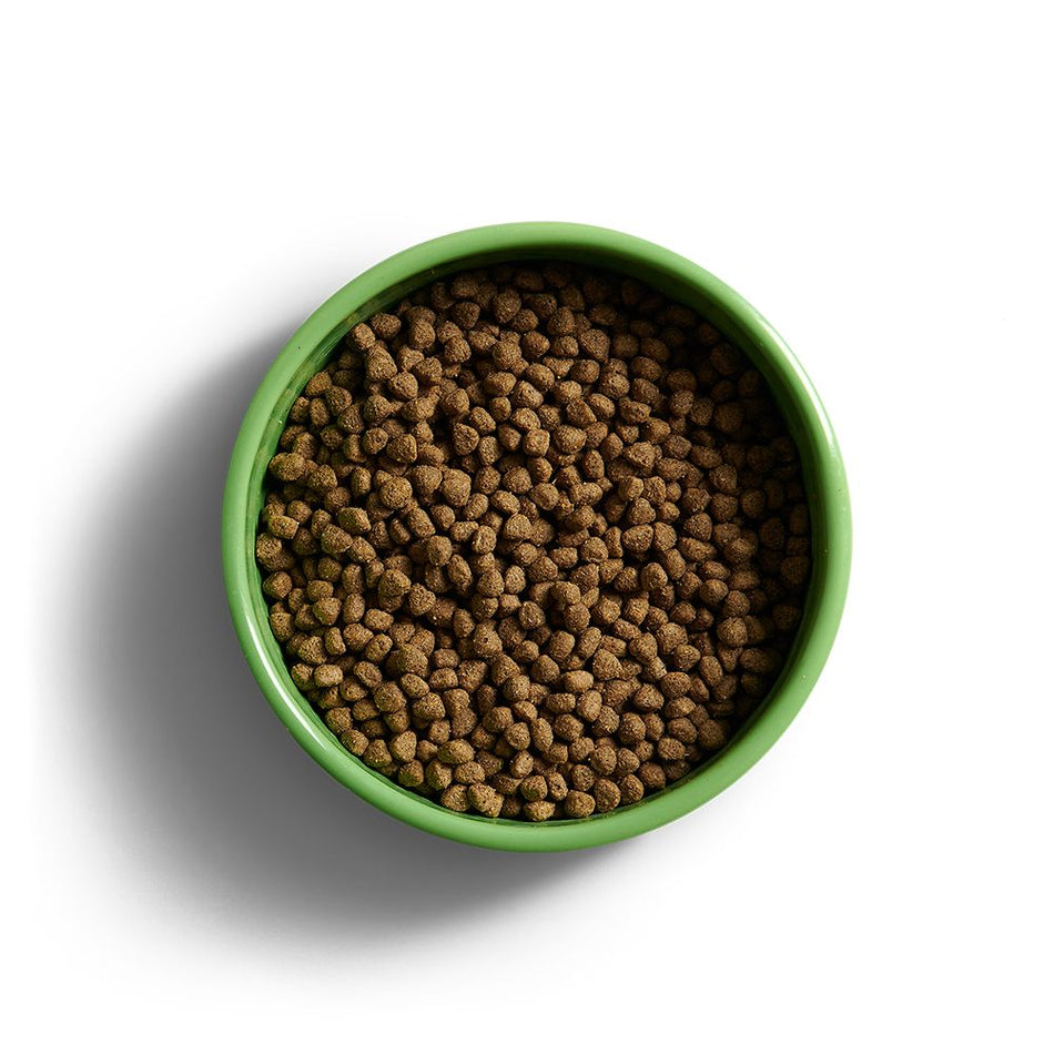 Yora Insect Protein Adult Large Breed Dog Food